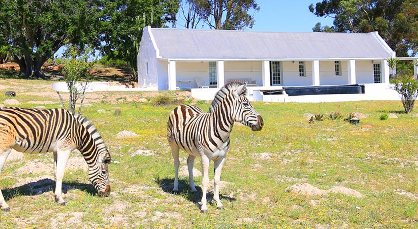 Arnion - Nature Retreat Clanwilliam Dış mekan fotoğraf